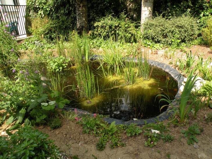  petit bassin dans mini square, rue Lhomond